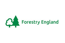 Forestry-England-1