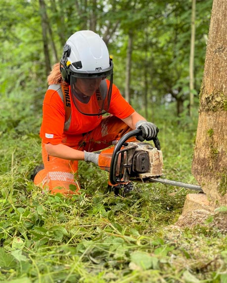 Forestry & Arboriculture