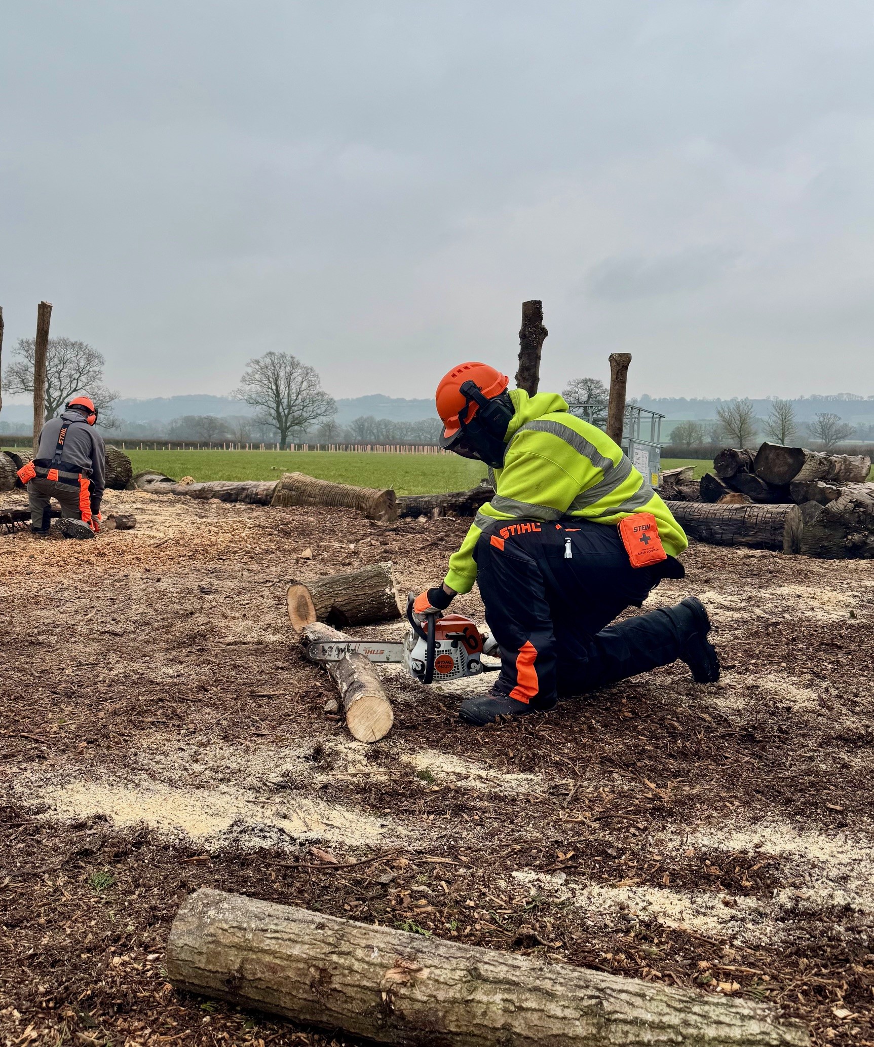 LANTRA Awards Chainsaw Maintenance & Crosscutting Refresher Course