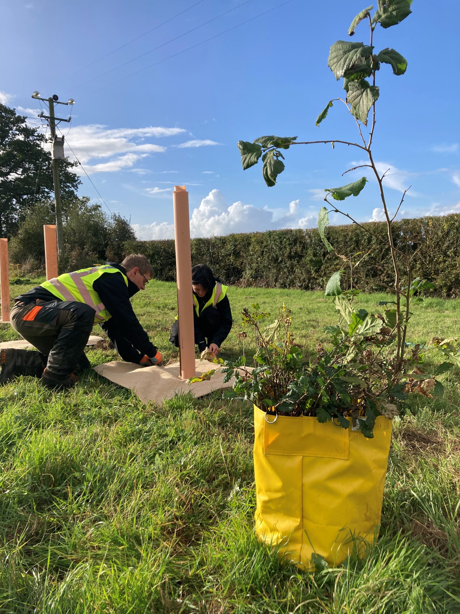 LANTRA Awards Planting and Establishing Woodlands Course