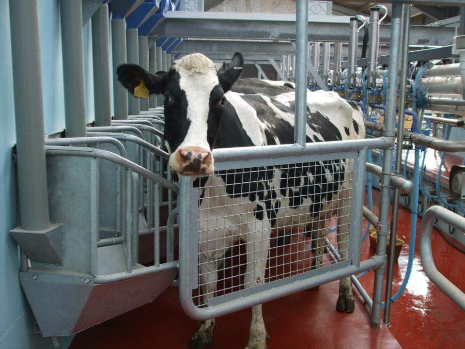 LANTRA Awards Health & Safety – Agriculture & Horticulture Course