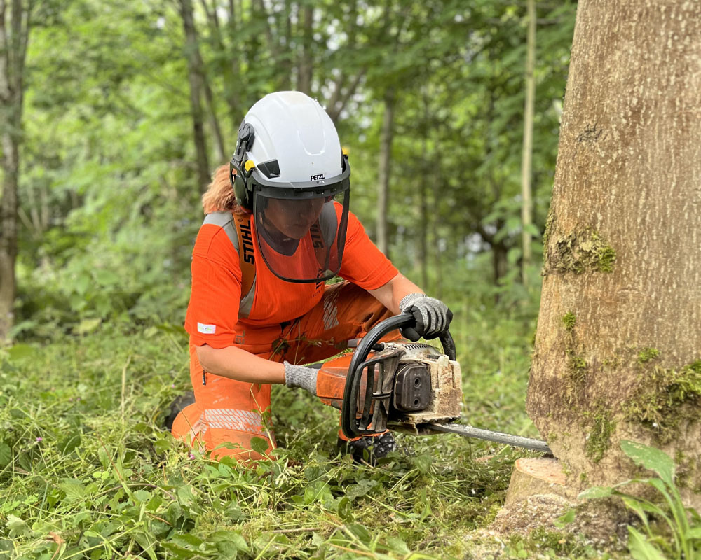 Level 2 Chainsaw Felling and Processing Trees up to 380mm [3.5 Days]