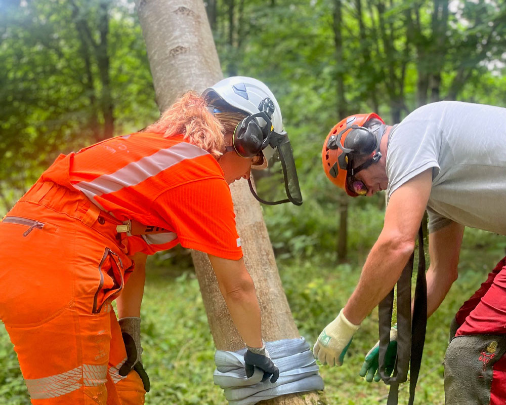 LANTRA Chainsaw Crosscutting, Maintenance, Felling & Processing of Trees upto 380mm Refresher Course [2 Days]