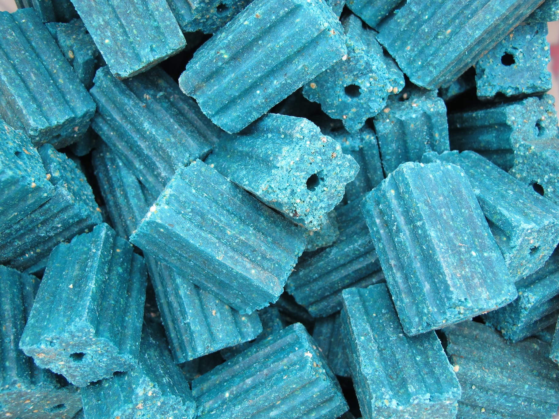 LANTRA Level 2 Technical Award in Rodent Management Course