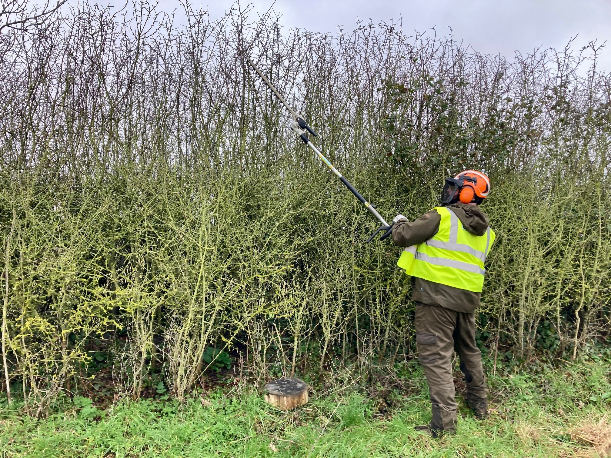 LANTRA Awards Handheld Hedgetrimmer with Leaf Blowers Course