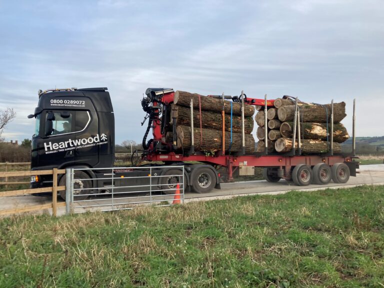 For Hire: Weights & Measures Approved Public Weighbridge